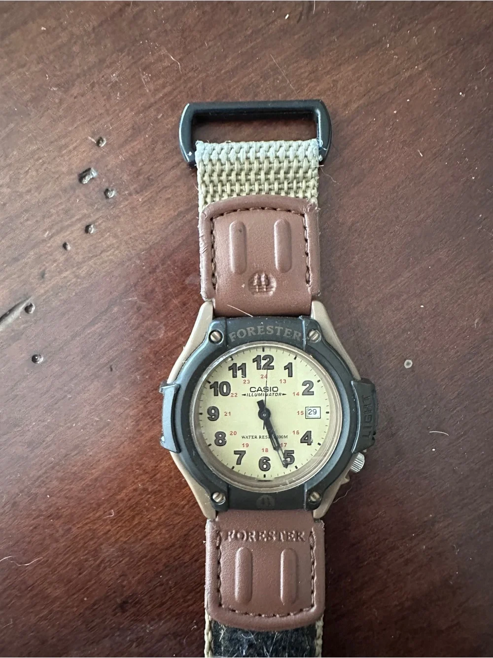 Casio Forester Brown and Beige Field Watch